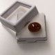 Grenat Spessartite Naturel Cabochon De Namibie - 6.79 Carats - 11.9 X 9.4 X 6.2 Mm - Altri & Non Classificati