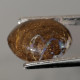 Opale Boulder Australienne: 3.94 Carats | Cabochon Ovale | Marron-Violet-Bleu-Vert - Opal