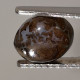 Opale Boulder Australienne: 2.60 Carats | Cabochon Ovale | Marron-Violet-Bleu-Vert - Opaal