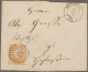 Sachsen - Marken Und Briefe: 1851/1863 (ca.), Umfangreiche Sammlung Ab MiNr. 2 M - Saxe