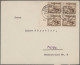 Delcampe - Deutsches Reich: 1872/1945, Partie Von Ca. 120 Briefen Und Karten Von Brustschil - Verzamelingen