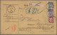 Deutsches Reich - Pfennige: 1875/1880, Partie Von Acht Paketkarten, Dabei Zwei S - Sammlungen