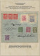 Deutsches Reich - Germania: 1900-1920 (ca), Germania-Ausgaben, Sammlung Im Album - Collections
