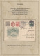 Deutsches Reich - Germania: 1900-1922, Germania-Ausgaben, Sammlung Von 38 Privat - Collections