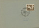 Delcampe - Deutsches Reich - 3. Reich: 1933/1944, Partie Von Ca. 118 Briefen Und Karten, Da - Covers & Documents