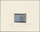 Deutsch-Südwestafrika: 1891-1919 (ca), Umfangreiche Sammlung Im Ringbinder, In B - África Del Sudoeste Alemana
