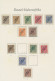 Delcampe - Deutsch-Südwestafrika: 1891-1919 (ca), Umfangreiche Sammlung Im Ringbinder, In B - Deutsch-Südwestafrika