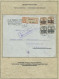 Delcampe - Deutsche Besetzung I. WK: Deutsche Post In Polen: 1914-1918, Spezialsammlung In - Besetzungen 1914-18