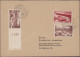 Delcampe - Deutsche Abstimmungsgebiete: Saargebiet: 1840er-1950er Jahre: SAAR-Nachlass Mit - Covers & Documents