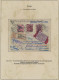 Danzig: 1920/1921 Ca., Interessante Slg. Der Danzig-Überdruckausgaben Auf 'Germa - Other & Unclassified
