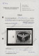 Feldpostmarken: 1942/1945, Postfrische/ungebrauchte Partie Von 16 Marken, Dabei - Other & Unclassified
