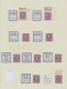 Bizone: 1945/1946, AM-Post, Spezialisierte Postfrische Sammlung Im Lindner-Ringb - Autres & Non Classés