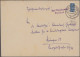 Bizone - Zwangszuschlagsmarken: 1948/1946, Umfangreiche Sammlung Mit Vielen Inte - Other & Unclassified