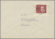 Bundesrepublik Deutschland: 1949/1960, Partie Von 15 Briefen Und Karten Mit Fank - Sammlungen