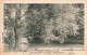 FRANCE - Le Tour De Marne - A Champigny - Etude D'arbre - Carte Postale Ancienne - Champigny