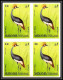 Delcampe - Manama - 3437/ N°159/169 B Parrot Perroquet Oiseaux (birds) Neuf ** MNH Non Dentelé Imperf BLOC 4 - Papagayos