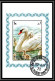 Sharjah - 2031/ N° 1190/1193 Cygnus Turkey Hen Cock Oiseaux (bird Birds Oiseau) Deluxe Blocs Used  - Collections, Lots & Series