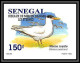 92732b Sénégal N°1153/1156 Sterne Oiseaux De Mer Seabird Birds Tern Non Dentelé ** MNH Imperf - Seagulls