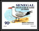 92732b Sénégal N°1153/1156 Sterne Oiseaux De Mer Seabird Birds Tern Non Dentelé ** MNH Imperf - Meeuwen