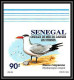 92732c Sénégal N°1153/1156 Sterne Oiseaux De Mer Seabird Birds Tern Non Dentelé ** MNH Imperf - Konvolute & Serien