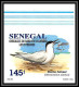 92732c Sénégal N°1153/1156 Sterne Oiseaux De Mer Seabird Birds Tern Non Dentelé ** MNH Imperf - Konvolute & Serien