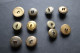 Delcampe - Lot De 11 Boutons  Fin XIX° Italie Monarchie Allemagne Rome Divers - Boutons