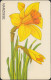 GERMANY PD4/98 Blume - Die Narzisse - DD: 1802 - P & PD-Series: Schalterkarten Der Dt. Telekom