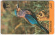 OMAN A-658 Magnetic Telecom - Animal, Bird - 8OMNA - Used - Oman