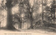 FRANCE - Près De Montfaucon - Vue Sur Le Parc Du Château De Figon - Carte Postale Ancienne - Montfaucon