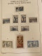 689 - Territorio Antartico Francese 1955/2022 - Collezione Quasi Completa Del Periodo Montata In Un 2 Album Della Leucht - Collections, Lots & Séries