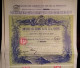 Lot De 3 ACTIONS DE 100 Frs. - COMPAGNIE DES CHEMINS DE FER DE LA PROVENCE 1929 - Verkehr & Transport