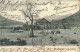 ARGENTINA NEUQUEN POBLACION LAGO TRAFUL PMK BUENOS AIRES 1909 ED. ROSAUER - Argentine