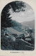 HEILIGENSCHWENDI ► Ein Kleines Dorf Oberhalb Des Thunersees Anno 1921    ►RAR◄ - Heiligenschwendi