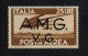 Trieste E Venezia Giulia 1945/7 - P. Aerea 25 Lire - Nuovo Gomma Integra - MNH** - Nuevos