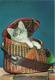 ANIMAUX & FAUNE - Chats - Carte Postale Ancienne - Katten