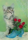 ANIMAUX & FAUNE - Chats - Fleurs - Roses - Carte Postale Ancienne - Katten