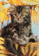 ANIMAUX & FAUNE - Chats - Végétation - Carte Postale Ancienne - Katzen