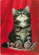 ANIMAUX & FAUNE - Chats - Couronne - Carte Postale Ancienne - Katzen