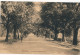 MARCHE  L'ALLEE DU MONUMENT           2 SCANS - Marche-en-Famenne