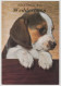 Australia VICTORIA VIC Beagle Puppy Greetings From WEDDERBURN Murfett P0015-2 Postcard C1970s - Other & Unclassified