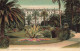 FRANCE - 06 - Cannes - Jardin Et Hôtel Gray D'Albion - Carte Postale Ancienne - Cannes