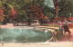 FRANCE - 03 - Vichy - Le Parc - Bassin Des Cygnes - Carte Postale Ancienne - Vichy