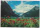 AK 199282 CANADA - Alberta - Lake Louise - Lac Louise