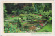 AK 199335 CANADA - British Columbia - Victoria - Butchart Gardens - Victoria