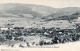 VUE SUR DELÉMONT ET L'ENTRÉE DES GORGES DE MOUTIER - CARTOLINA FP NON SPEDITA DEL PRIMO 900 - Delémont