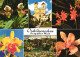 PREGETTER,  WEIZ, STYRIA, MULTIPLE VIEWS, ORCHIDS, FLOWERS, CHURCH, ARCHITECTURE, ORCHIDEENSCHAU, AUSTRIA, POSTCARD - Weiz