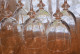 Delcampe - -6 VERRES à PIEDS ANCIENS En CRISTAL Belle Bague En Haut Du Pied Collection    E - Glas & Kristal