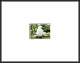 2176/ Polynésie N°510/512 Oiseaux Birds Fou à Pieds Rouges Sula Fregate Fregata  Lori Noddi 1996  épreuve Deluxe Proof  - Geschnittene, Druckproben Und Abarten