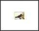 2176/ Polynésie N°510/512 Oiseaux Birds Fou à Pieds Rouges Sula Fregate Fregata  Lori Noddi 1996  épreuve Deluxe Proof  - Non Dentellati, Prove E Varietà