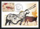 2218/ Carte Maximum France N°1555 Grotte De Lascaux Montignac Tableau (Painting) édition CEF 1968 FDC - Préhistoire